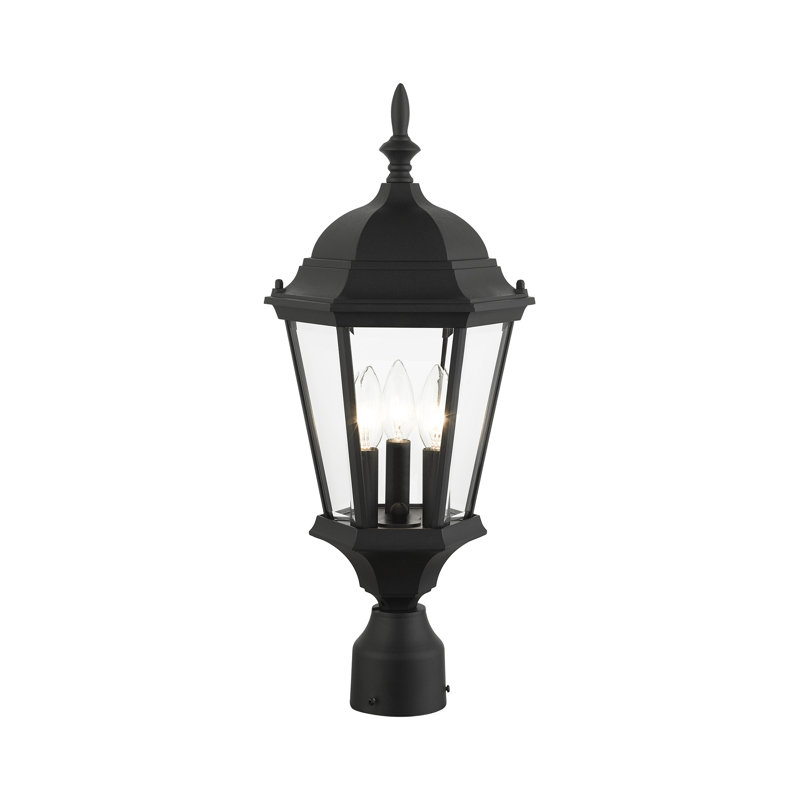 Lantern Head