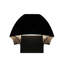 Tête de lanterne Dark Sky-66673325