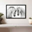 Couple de chevaux blancs-107509421