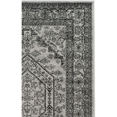 Amedee Performance Oriental Rug