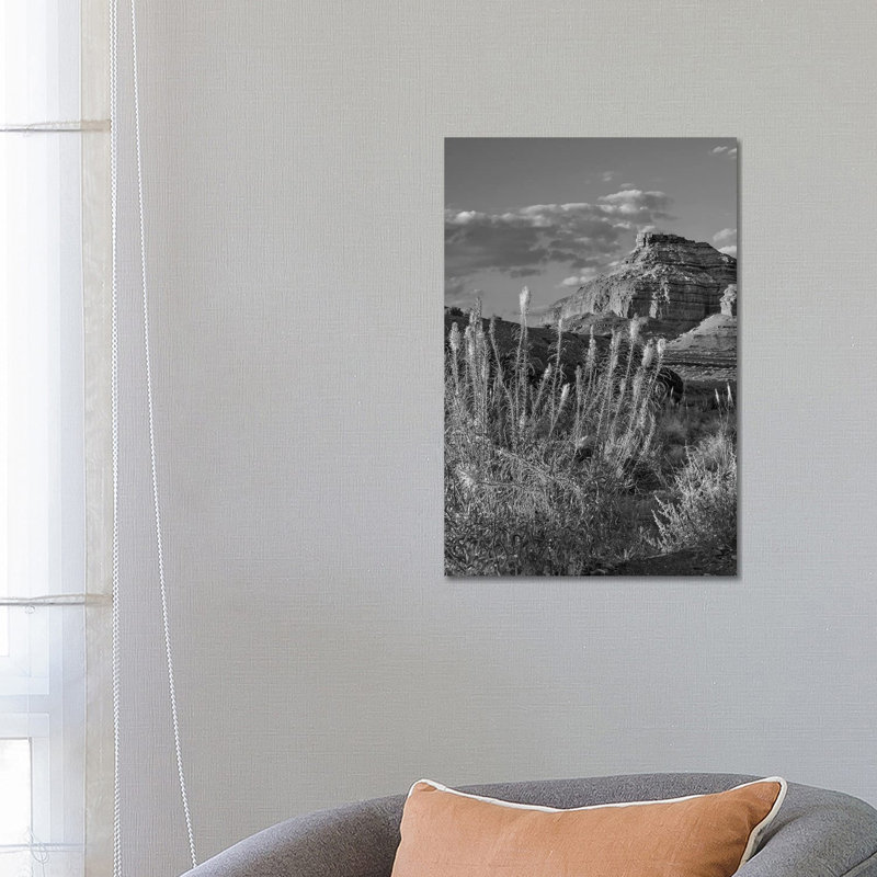 Miner's Candle Flowers, Echo Canyon, Vermilion Cliffs National Monument, Arizona by Tim Fitzharris - Gallery-Wrapped Canvas Giclée on Canvas