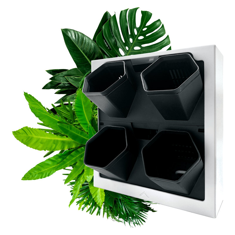 Wall Planter, White