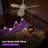 Karlena 48'' Bedroom Ceiling Fan without Light with Remote Control 6-Speed Reversible Noiseless DC Motor-1113593149