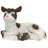 Sitting Goat Juliet