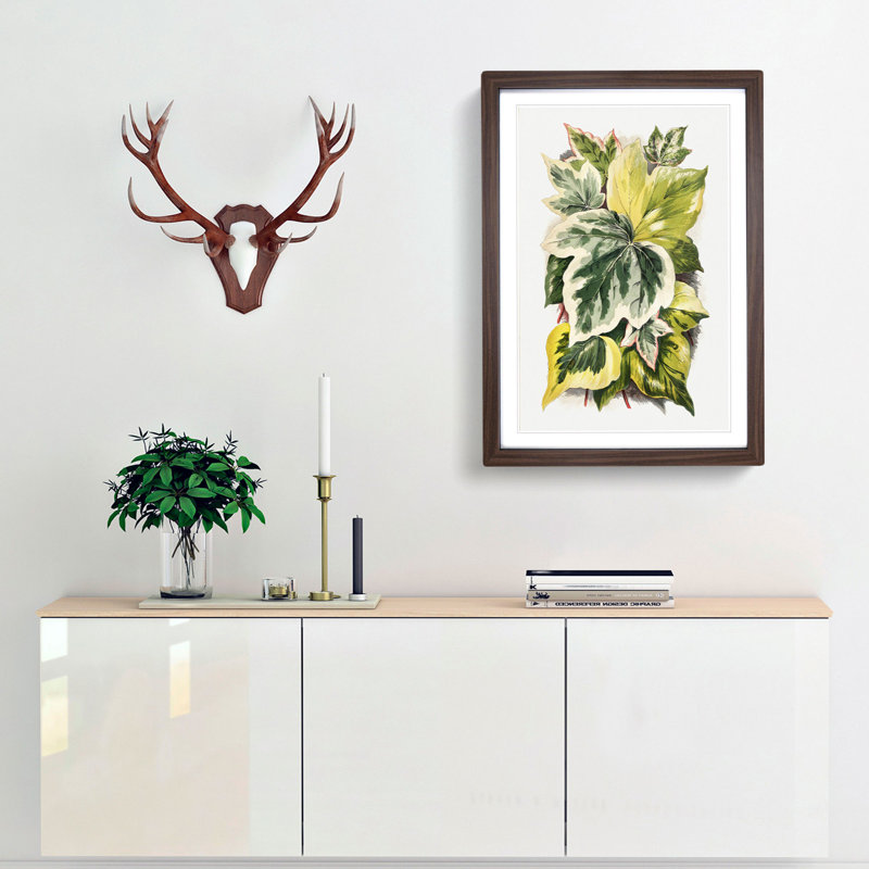 Various Ivy Leaves by Shirley Hibberd - Picture Frame Painting Print, Walnut, 91cm H x 60cm W x 2cm D