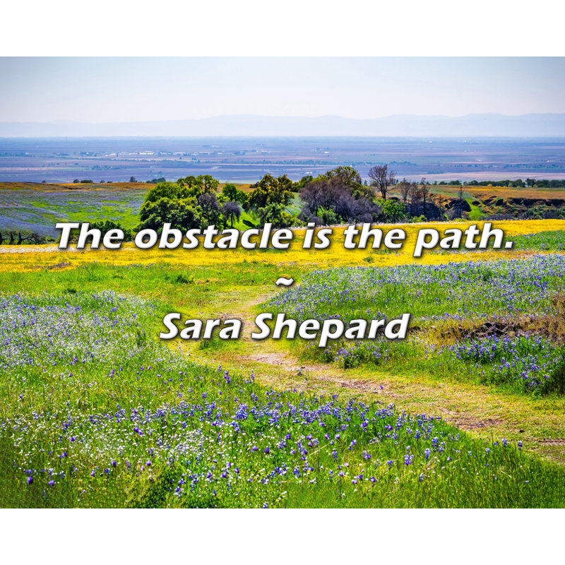 Citation de Sara Shepard: l'obstacle est le chemin., H 20 po x l 24 po