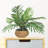 14'' Faux Palm Plant in Wicker/Rattan Basket
