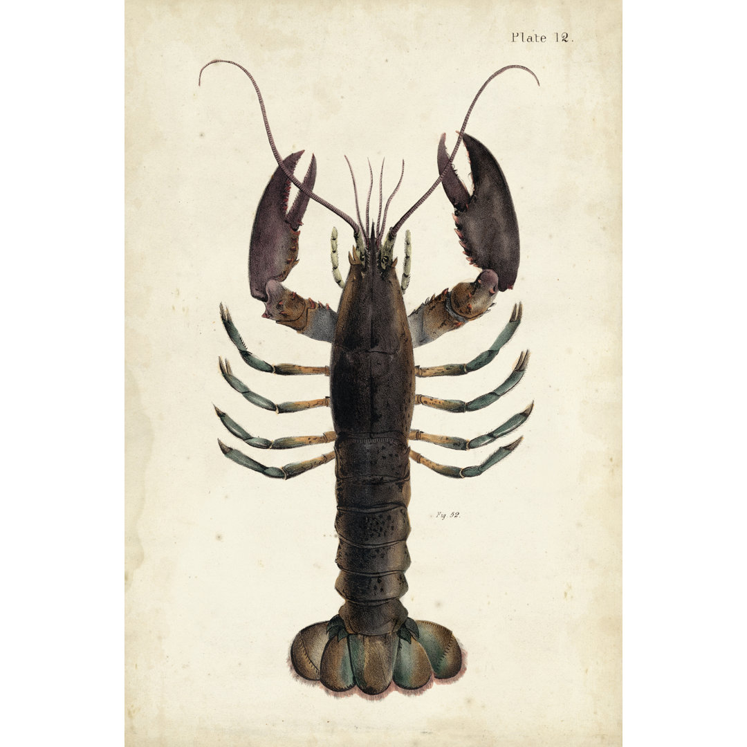 Leinwandbild Vintage Lobster