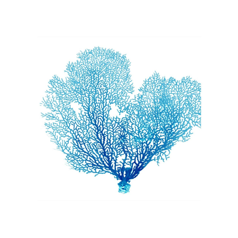 «Blue Seafan Coral II» par Sofia Fox - impression, H 24 po x l 24 po, Extérieur