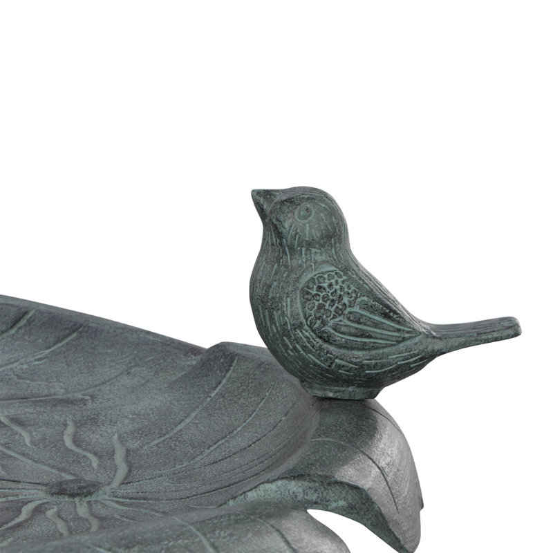 Bird Chat on Lotus Birdbath