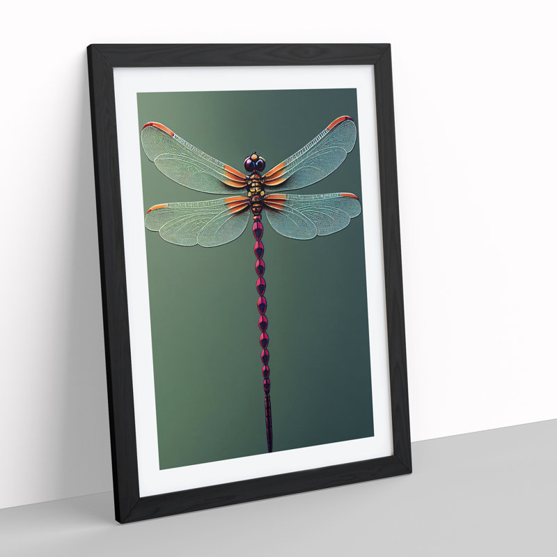 Perfect Dragonfly - Single Picture Frame Print, 64cm H x 46cm W x 2cm D, Black