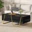 Table basse rectangulaire brillante avec rangement