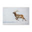 No Frame Print on Canvas-462914971