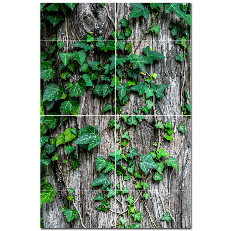 Photo murale décorative Arbres