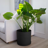 Modern Plastic Indoor/Outdoor Round Planter with Saucer