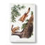 Two Flying Squirrels by J.W. Audubon - Wrapped Canvas-55301273