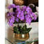 Roberi Gold Bowl With Light Purple Orchids-699514867