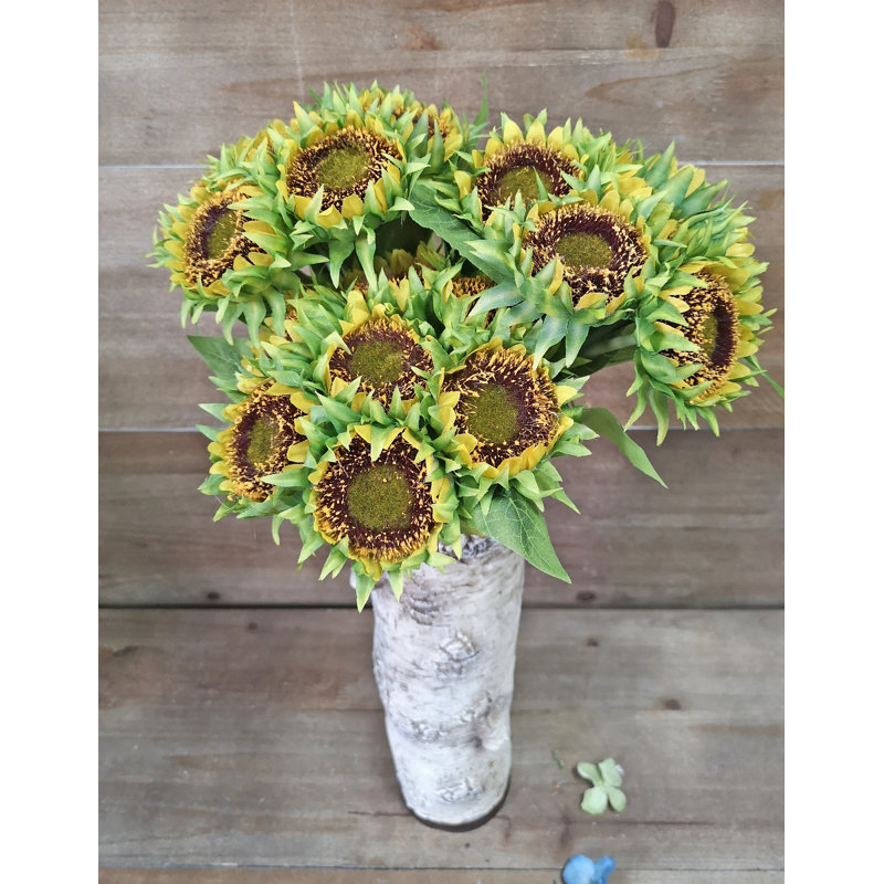 Tiges de tournesol
