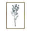 « herb » par albina bratcheva print-43718720-43718725