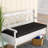 Outdoor 3'' Seat Cushion-32998493-63414301