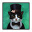 « tuxedo cat » par lucie heffernan-reproduction de photo-49902398-53128217