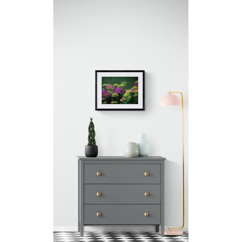 Hydrangia Print by Tom Kostes
