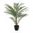 33 " H Faux Palm Plant in Plastic Pot