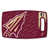 Florida State Seminoles