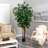 84'' Faux Ficus Tree in Pot