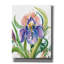 «Epis Graffiti», Wild Iris par Kristy riz, art mural sur toile-106171600
