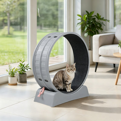 Scratching Post