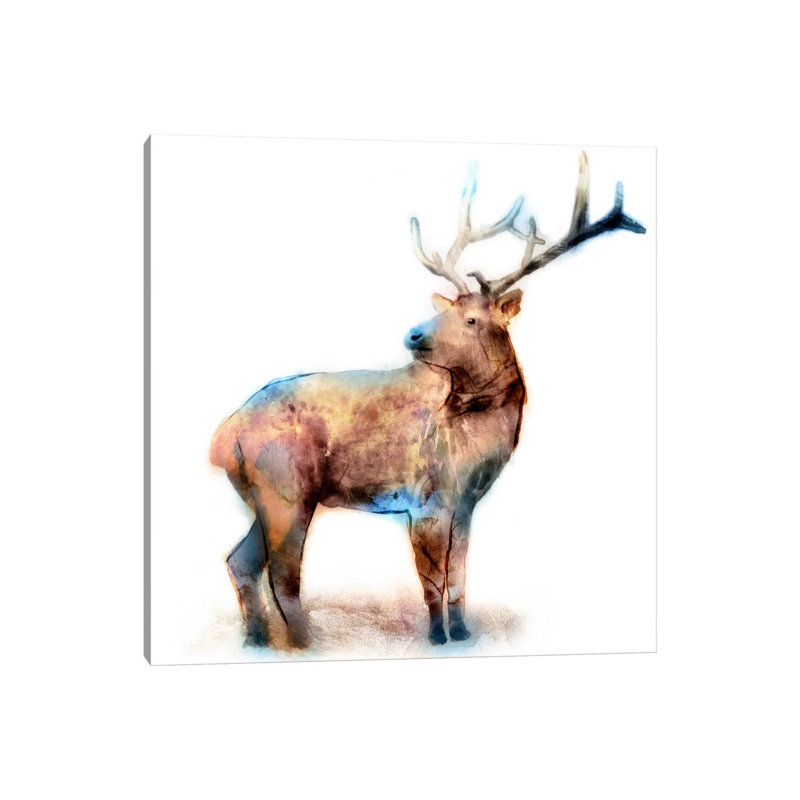 Elk 1 Piece Wrapped Canvas Painting, 45.72 cm H x 45.72 cm W x 3.175 cm D