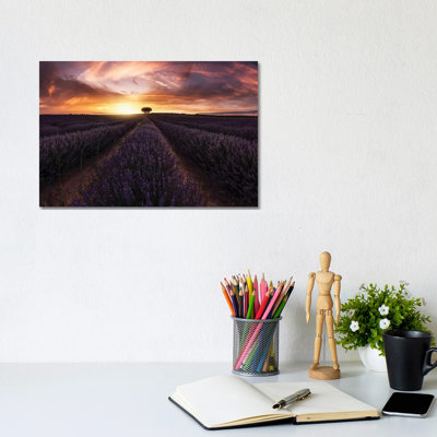 Lavender Sunset by Jorge Ruiz Dueso - Wrapped Canvas Print