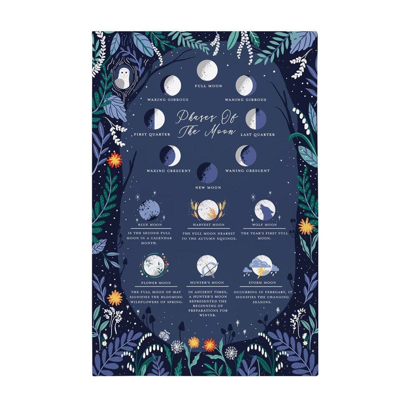 Phases Of The Moon Tea Towel Kitchen Towel