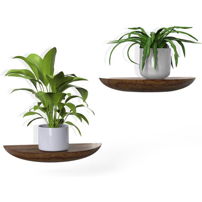 Solid Wood Half Round Floating Wall Shelves | Elegant Floating Shelves, Elevate Your Space. Perfect For Living Rooms, Bathrooms, Bedrooms, Offices, Children's Rooms