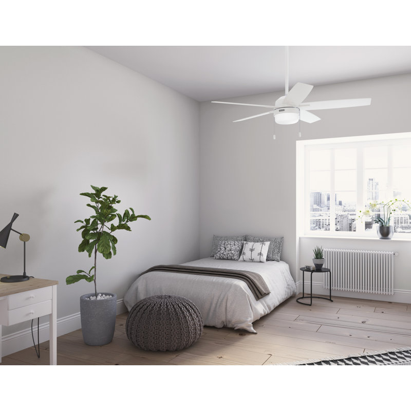 Anisten 52" 5 - Blade Ceiling Fan With Lights and Pull Chains, White