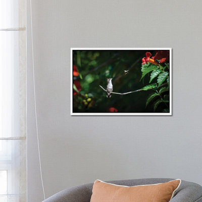 Excuse Me! by David Gardiner - Wrapped Canvas Print