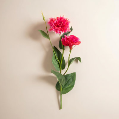 Lisianthus Flower Stems