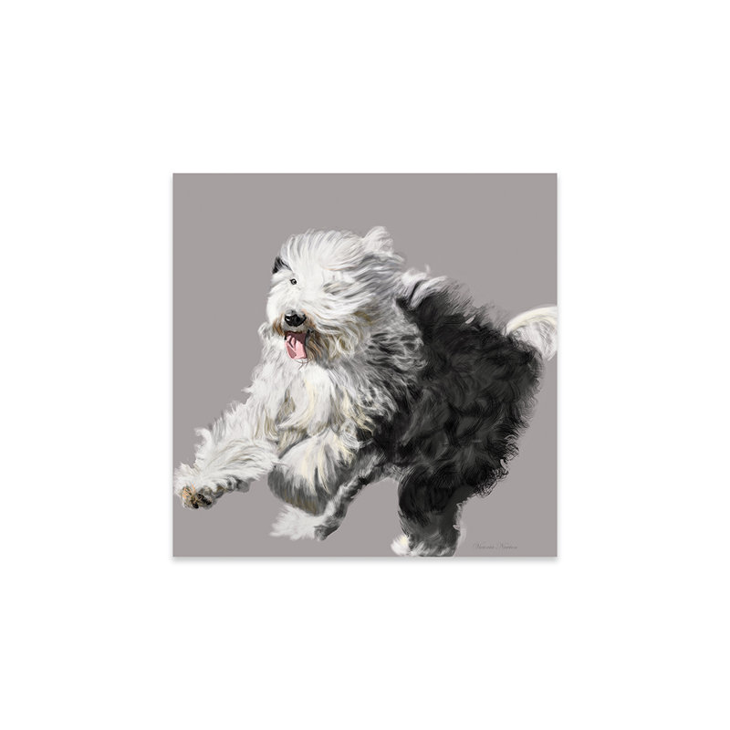 «Old English Sheepdog», reproduction sur verre acrylique, H 24 po x l 24 po x P 0,25 po
