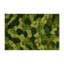 Tapis d'intérieur et d'extérieur vert Nature-957985928
