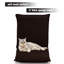 Chaise de plancher-1267255976