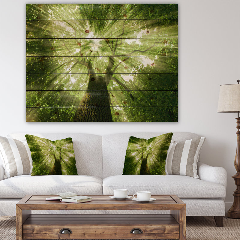 Sunlight Peeking Through Green Tree - impression d'art graphique, H 36 po x l 46 po x 1,5 po, Bois