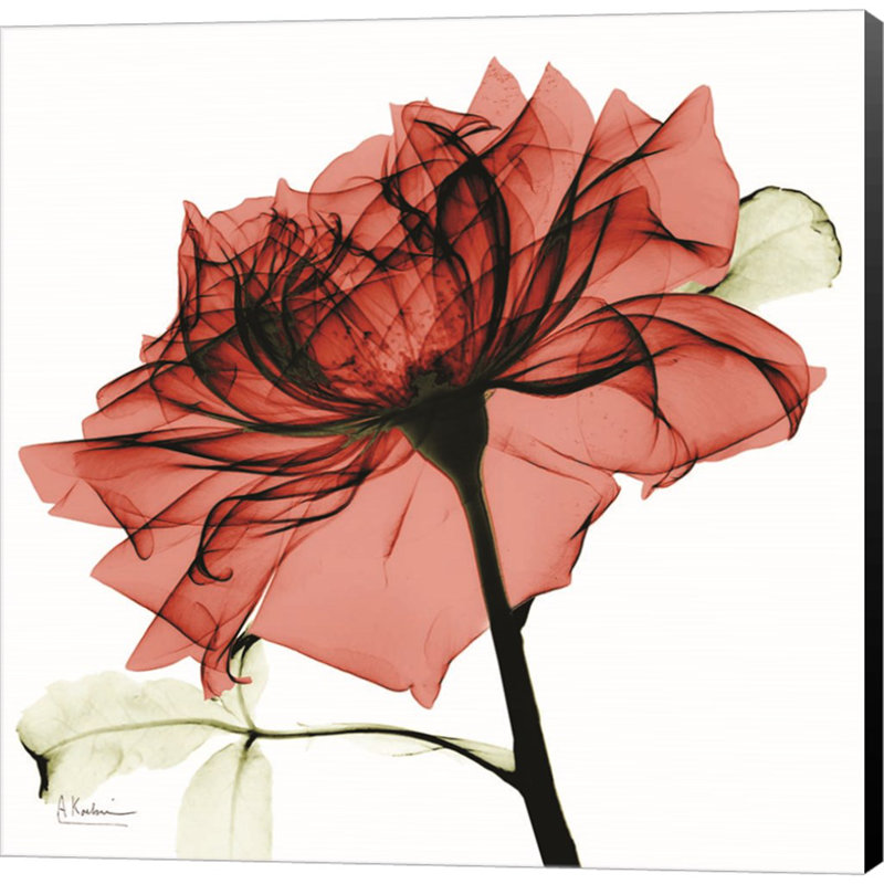 «Red Rose» par Albert Koetsier - reproduction d'art sur toile tendue