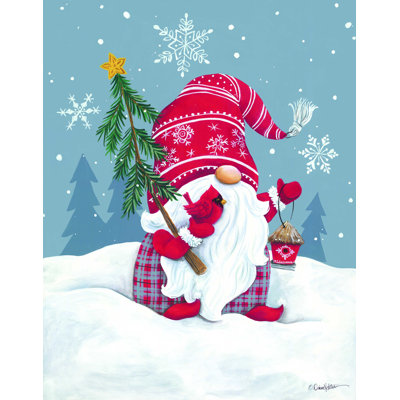 " Snowy Gnome With Cardinal " by Diane Kater