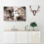 Pair Of Loving Lions - Wrapped Canvas-55311332