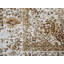 Amalia Oriental Cotton Area Rug-36245034