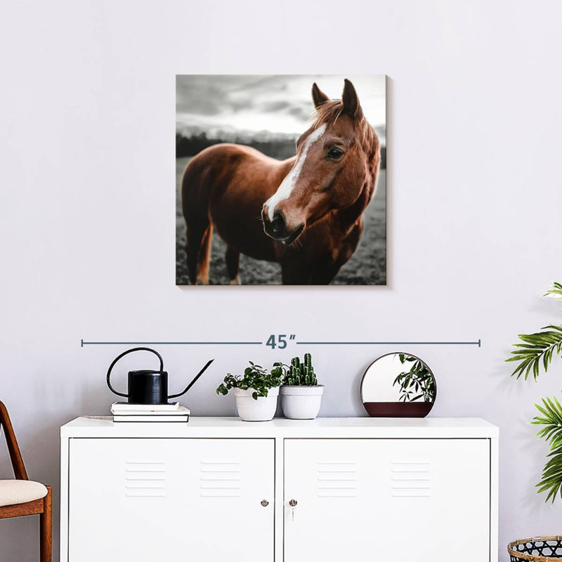 Brampt Shining Horse