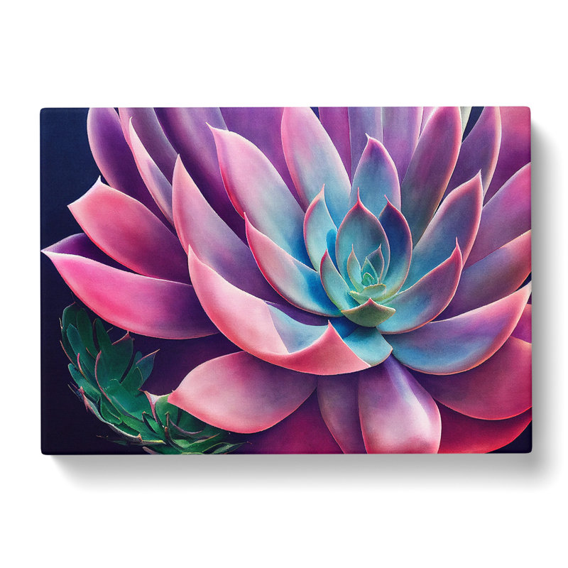 Watercolour Succulent Plant Vol.1 - Wrapped Canvas, 50cm H x 76cm W x 3cm D