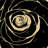 Black Rose Print On Canvas