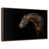 Floating Frame Walnut